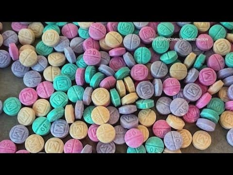 One Pill can Kill | Addiction expert talks about the dangers of opioids