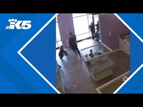 Thieves caught on camera stealing puppies from Puyallup pet store