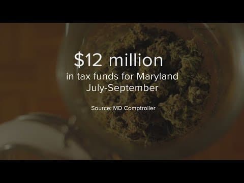 Maryland raking in the green after first year of legalizing marijuana