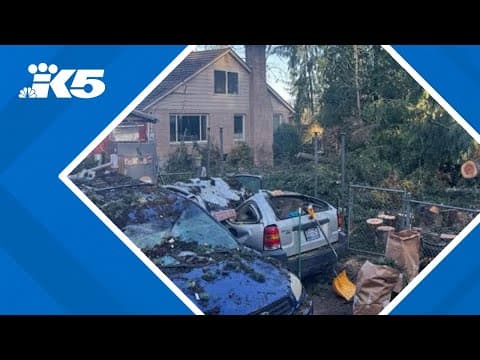 Bellevue family continues clean up after bomb cyclone damages property