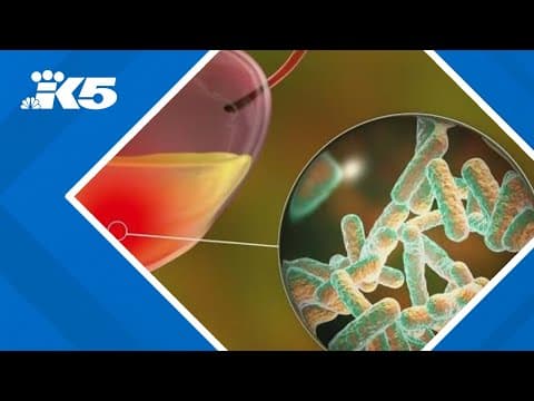 New antibiotic approved in US to treat urinary tract infections: HealthLink