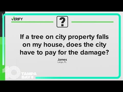 Someone else's tree fall on your home? We VERIFY who pays for the damage.