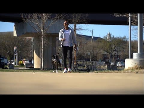 Humane Rescue Alliance thriving after winter adoption crisis