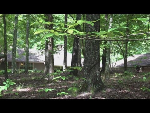 Homeowner secures nature's legacy and beauty for decades with conservation easement