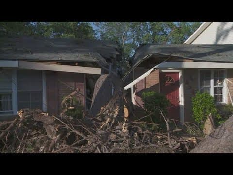 Massive pine tree splits Slidell home in half
