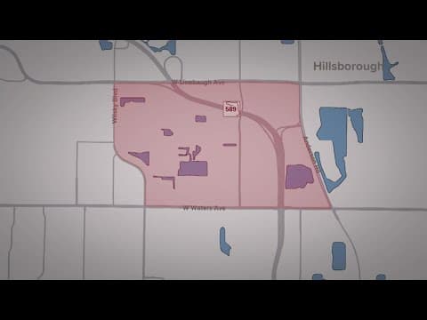 4 people bitten by cat with rabies in Hillsborough County, health officials confirm