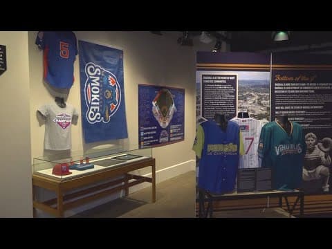 Talking all things sports history at the 'History Hootnanny'