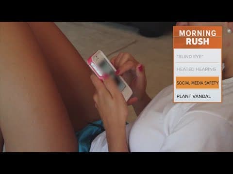 Senate passes new Internet security bills to protect minors