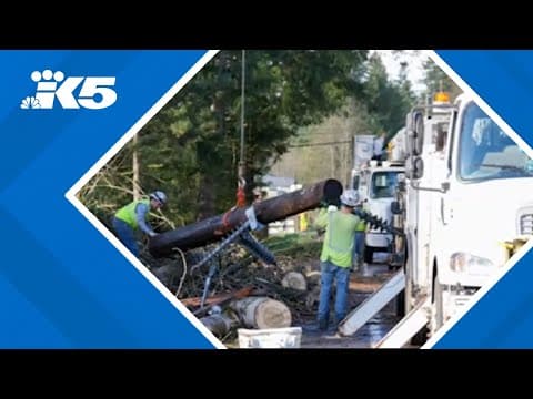 Damage from bomb cyclone wind storm nearing $20 million in Snohomish County