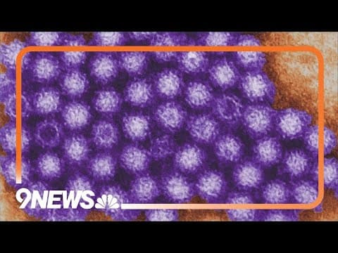 How to kill the norovirus