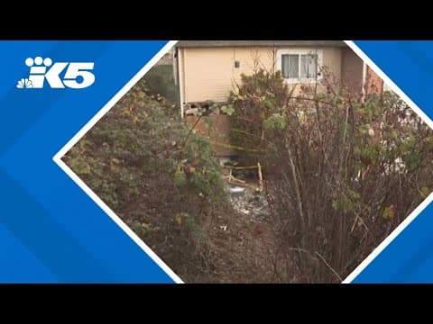 Lynnwood driver dies after crashing into apartment building