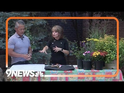 Gardening segment: How to hire a landscape designer