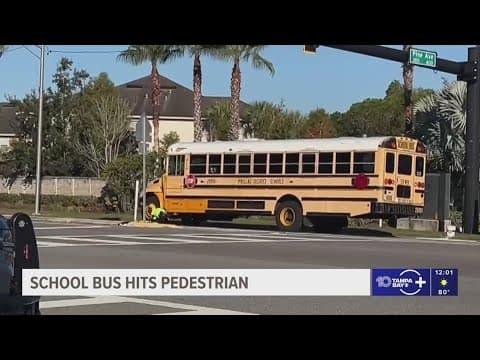1 injured after being hit by school bus in Pinellas County