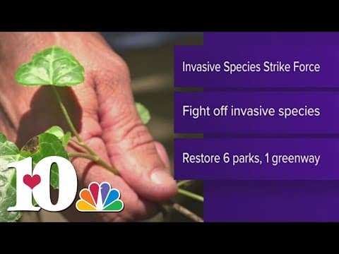 City Council to vote on agreement with Ijams to prevent spread of invasive species