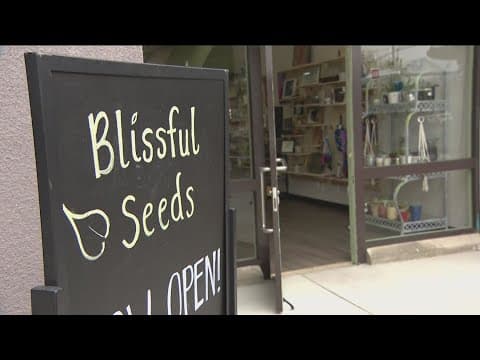 Blissful Seeds | Offering young adults with autism a chance for self-expression