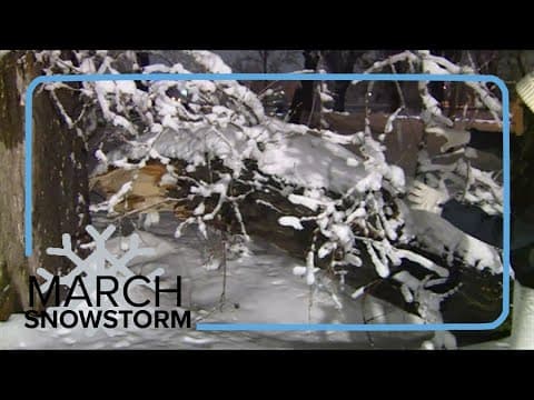 Heavy snow snaps tree limbs at Denver park