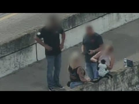 Monkey handing out along a Houston highway