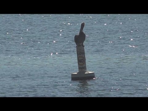 Recent heavy rains make annual cleanup of San Diego River Estuary even more important
