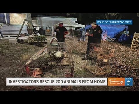 200 animals rescued from Polk County home