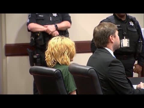 Georgia school shooting suspect makes first court appearance