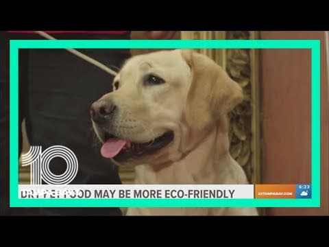 Dry pet food may be more eco-friendly compared to wet, study shows