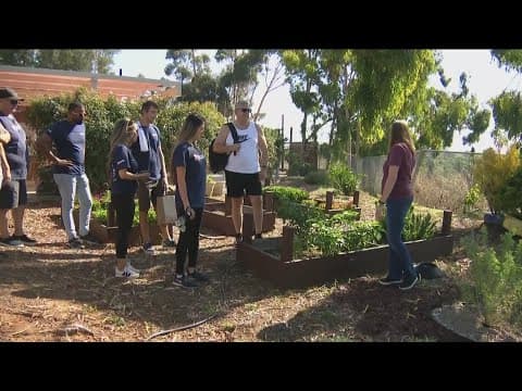 United Way of San Diego helps beautify nonprofit garden for Day of Service