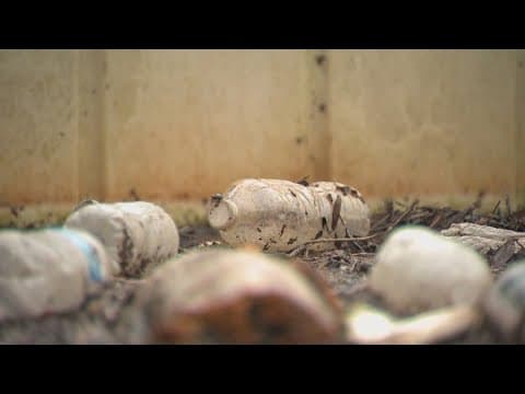 Tidal flooding from Helene creating 'trash islands' in local rivers