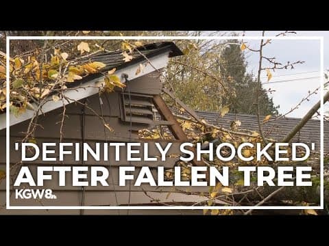 Teen and child injured after tree falls on Kelso home