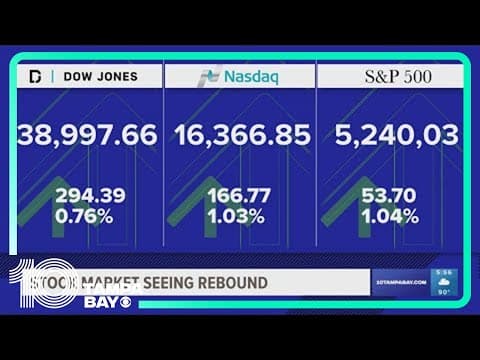 Stock market sees rebound