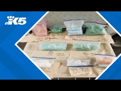 Dark web drug dealer to spend 8 years in prison