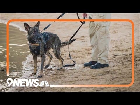 Proposed legislation would strengthen punishment for killing a police dog