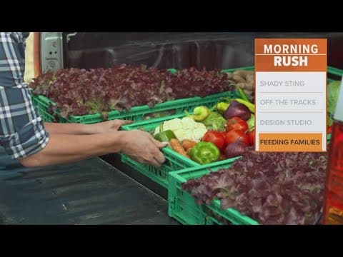 Tarrant County Food Banks holds major food distribution event