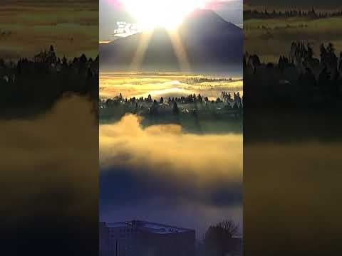 A foggy morning in Tacoma