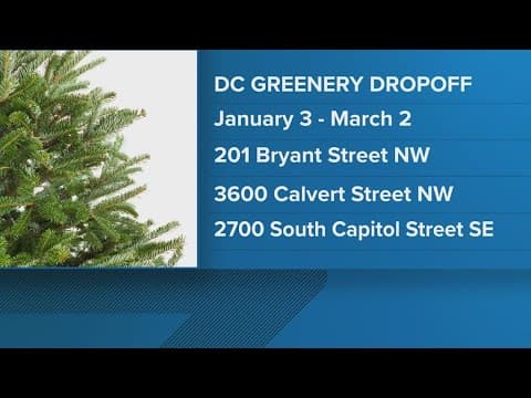D.C. Christmas Greenery Recycling Begins Jan. 3