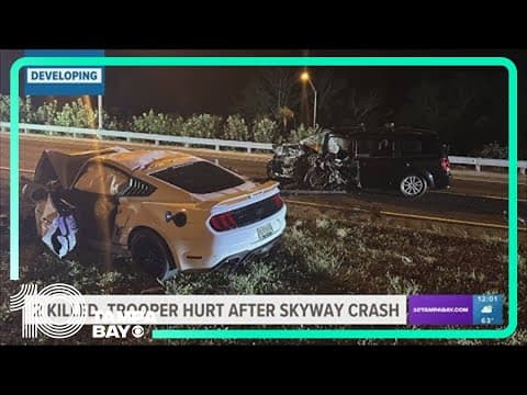 Uber driver and passenger killed in head-on crash on Skyway Bridge