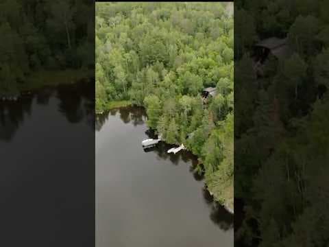 How will Minnesota’s forests shift because of climate change?