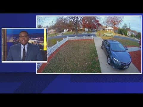 Family Dog killed in hit & run, "He wouldn't want us to keep crying"