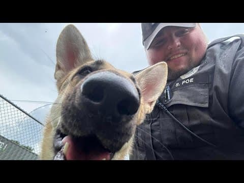 IMPD officer adopts German Shepherd he rescued on the job
