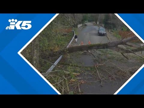 From record heat to a deadly bomb cyclone: A look back at 2024 weather events