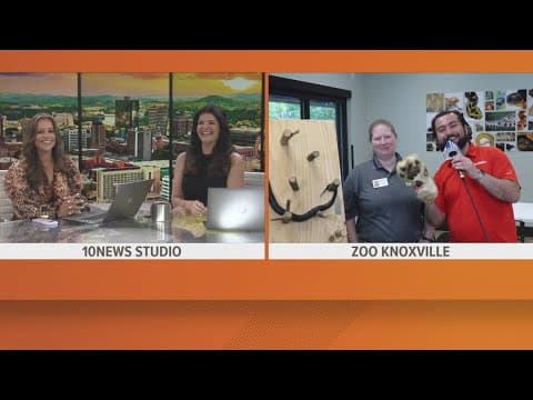 Cool Camps: Here's a special send-off from the Zoo Knoxville crew!