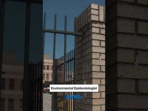 Black mold discovered inside the Sewerage & Water Board building