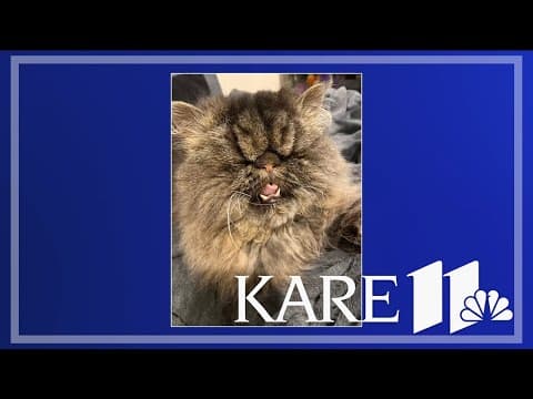 Your Good News: Patti Joyal, Michael & Chino, Patty McQuiston