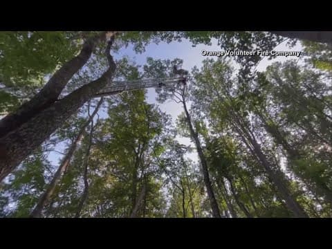 Skydiver rescued from tall trees after collision