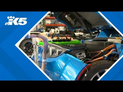 'Mayhem' at EV repair shop as more early adopters experience battery death