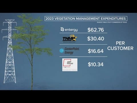 KHOU 11 Investigates: How much did CenterPoint spend on tree maintenance last year?