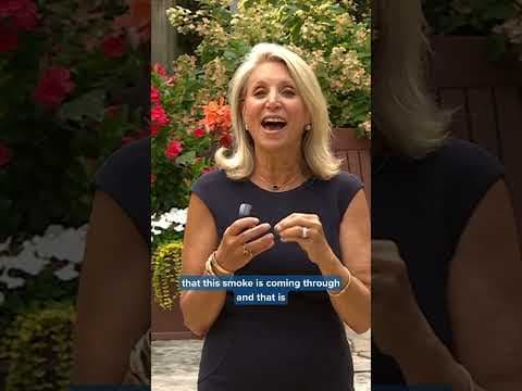 July 31: Smoky skies are blanketing the Midwest but it won't stick around too much longer. #wildfire