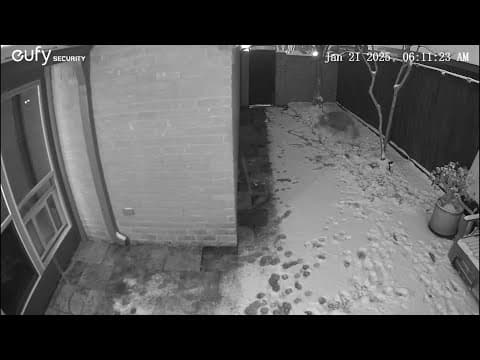 Snow in Fulshear, Texas