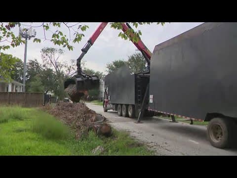 Hurricane Beryl debris collection underway