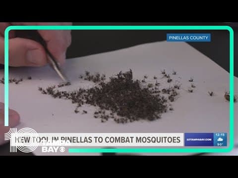 Pinellas County combats rise of mosquito-borne diseases