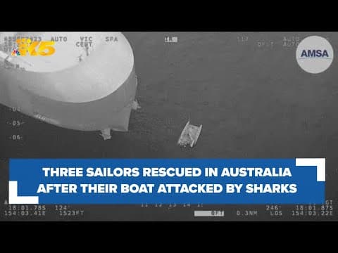 Three sailors rescued after their boat attacked by sharks